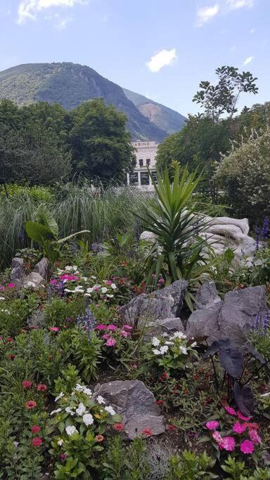 Grand T2 Calme Et Cosy Au « Pyrenees Palace » Bagnères-de-Luchon المظهر الخارجي الصورة